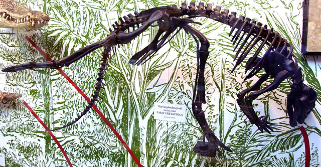 Image:Hypsilophodon2.JPG