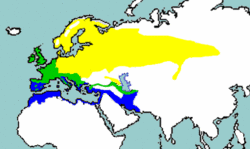 Breeding range – yellowWinter range – bluePresent all year – green