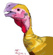 Bust of Oviraptor philoceratops by Matt Martyniuk.