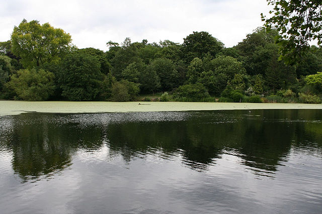 Image:Hampstead Ponds (171329664).jpg