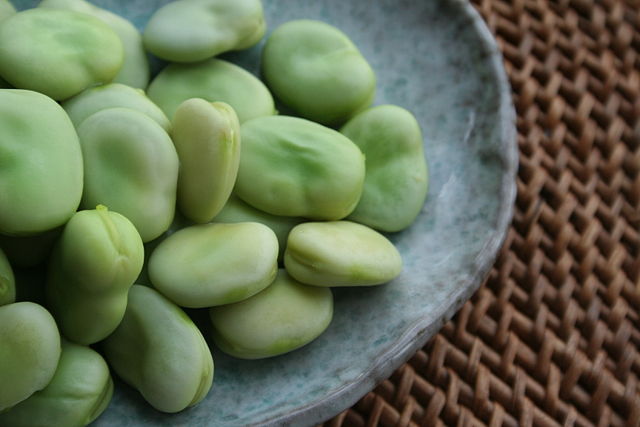 Image:Broad-beans-after-cooking.jpg