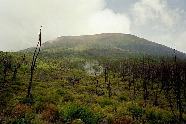 Image:Nyiragongo2004.jpg