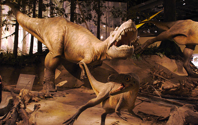 Image:Albertosaurus.jpg