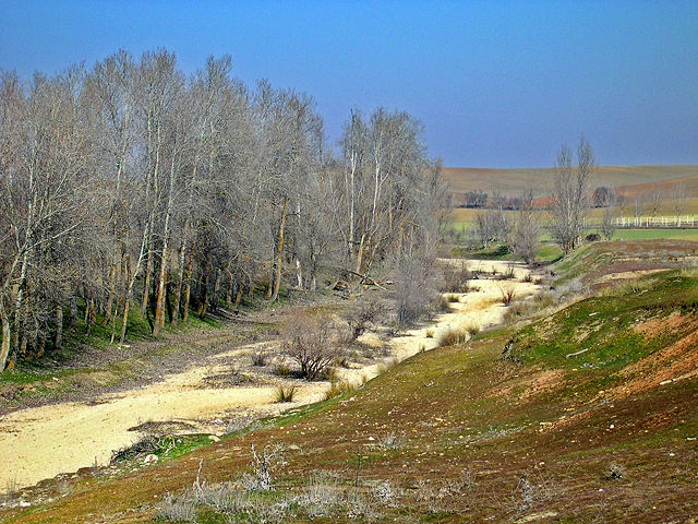 Image:Trabancos River (dry).jpg