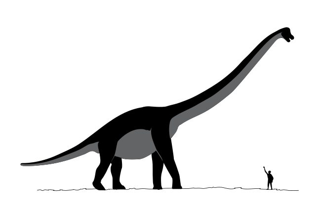 Image:Sauroposeidon dinosaur.svg