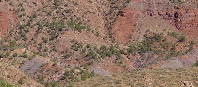 Image:Chinle Formation near Springdale, Utah.jpeg