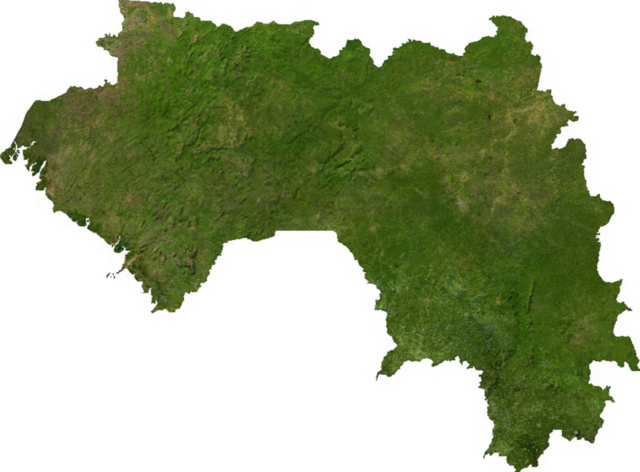 Image:Guinea sat.png