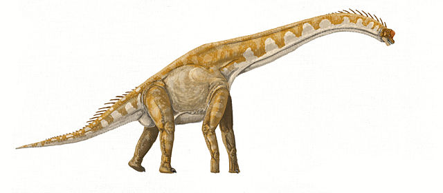 Image:Giraffatitan DB.jpg