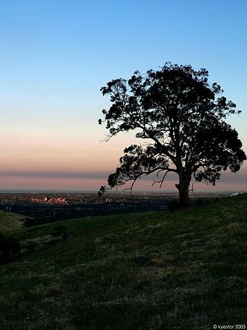 Image:An adelaide sunrise.jpg