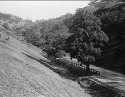 Mount Barker Road, 1900