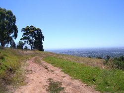 One of Mount Osmond's walking trails - this land is owned by the highways department and was going to be used for a possible alternative route to the South Eastern Freeway in the 1960s. Mount Osmond Golf Course can be seen to the left.