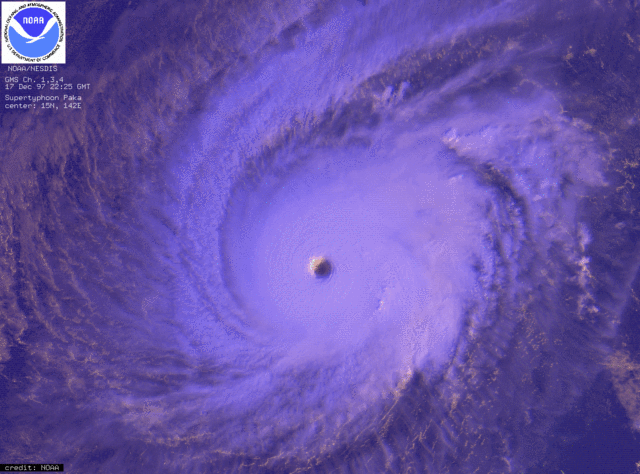 Image:Typhoon Paka.gif