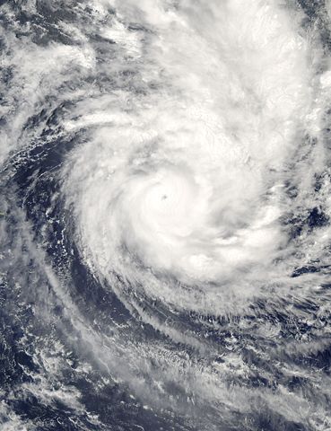 Image:Cyclone Percy 2005.jpg