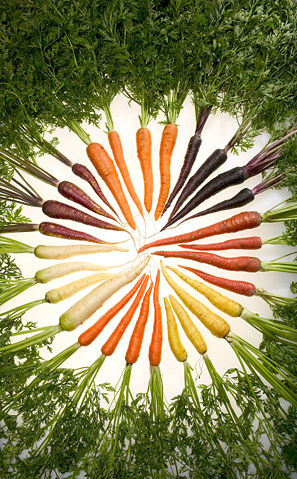 Image:Carrots of many colors.jpg