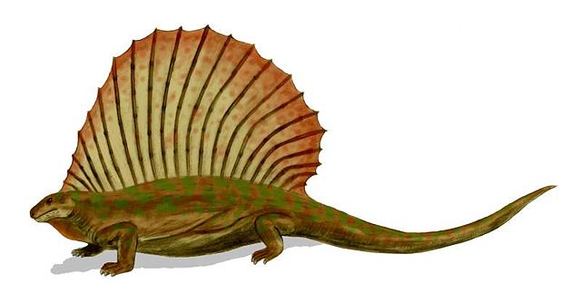 Image:Edaphosaurus BW.jpg