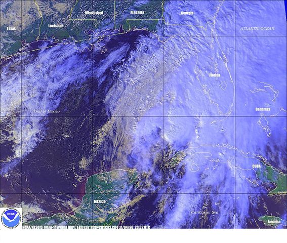 Image:Tropical Storm Mitch.JPG