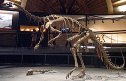 Plateosaurus at the Museo del Jurásico de Asturias.