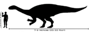 Size comparison between Plateosaurus and a human.
