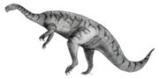 A Plateosaurus sketch by Tim Bekaert.