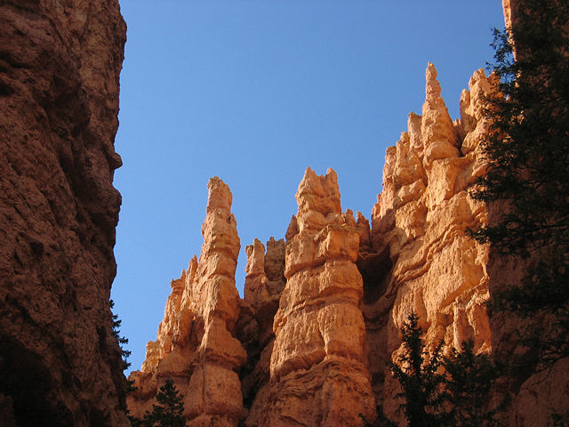Image:Bryce Canyon Hoodoos.jpg