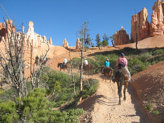 Image:Horseriders in Bryce Canyon-NPS photo.jpg