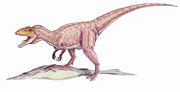 Eustreptospondylus.