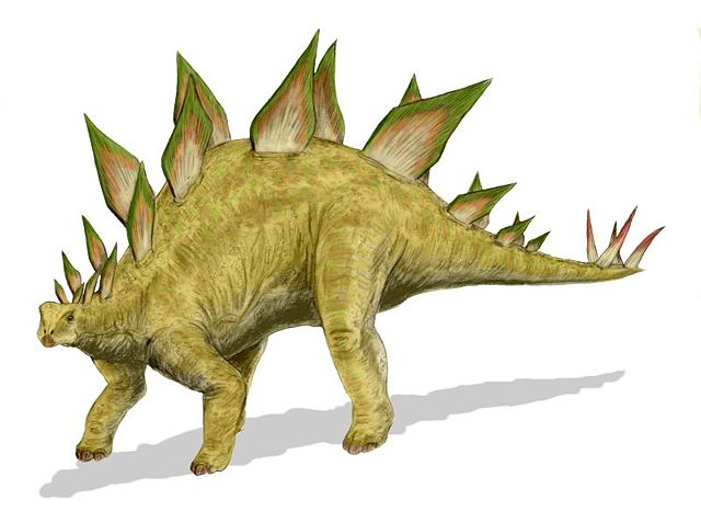 Image:Stegosaurus BW.jpg