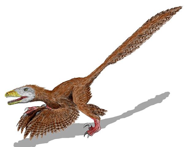 Image:Deinonychus BW.jpg