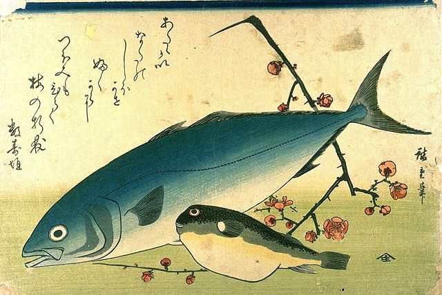 Image:Hiroshige A Shoal of Fishes Fugu Yellowtail.jpg