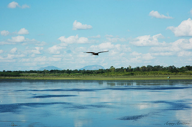 Image:BangaloreLake.jpg