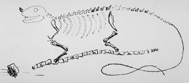 Image:Mantell's Iguanodon restoration.jpg