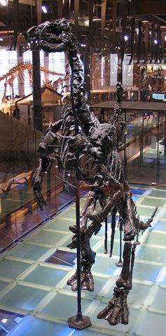 Image:Iguanodon 28-12-2007 14-18-33.jpg