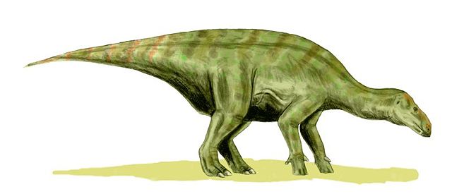 Image:Iguanodon BW.jpg