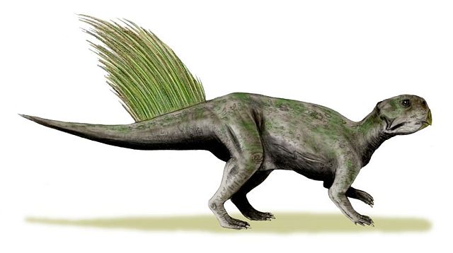 Image:Psittacosaurus mongoliensis whole BW.jpg