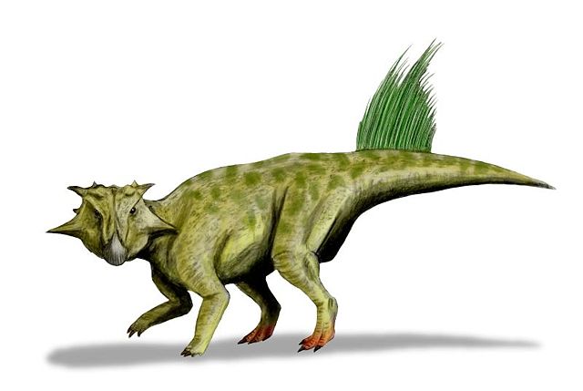 Image:Psittacosaurus sibiricus whole BW.jpg