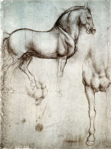 Image:Study of horse.jpg