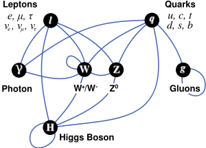 The elementary particles from which the universe is constructed. Six leptons and six quarks comprise most of the matter; for example, the protons and neutrons of atomic nuclei are composed of quarks, and the ubiquitous electron is a lepton. These particles interact via the gauge bosons shown in the middle row, each corresponding to a particular type of gauge symmetry. The Higgs boson (as yet unobserved) is believed to confer mass on the particles with which it is connected. The graviton, a supposed gauge boson for gravity, is not shown.