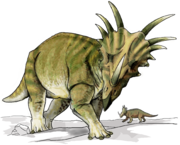 Artist's impression of Styracosaurus