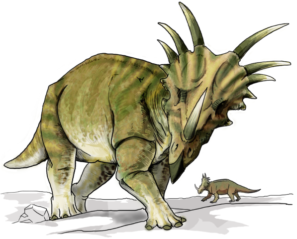 Image:Styracosaurus dinosaur.png