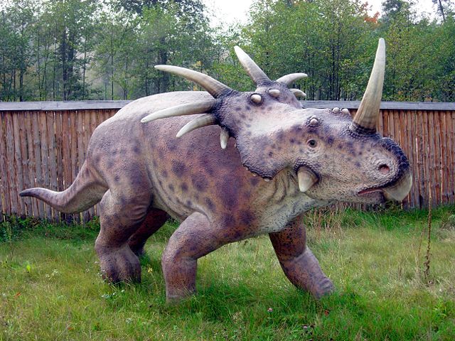 Image:Styracosaurus Baltow 20051003 1315.jpg