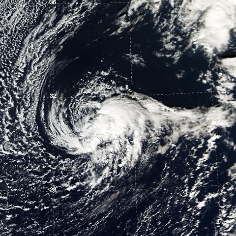 Image:Tropical Storm Otto 2004.jpg
