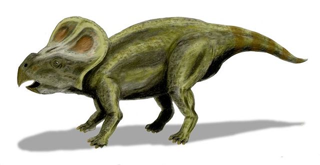 Image:Protoceratops BW.jpg