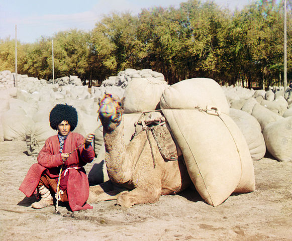 Image:Turkmen man with camel.jpg