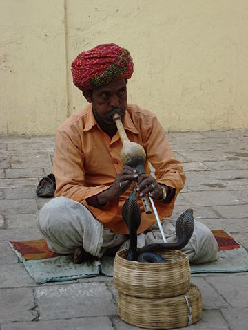 Image:Charmeur de serpents à Jaipur (2).JPG