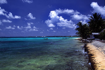 A beach at Funafuti atoll on a sunny day.