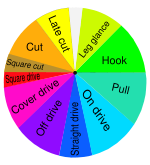 The directions in which a right-handed batsman intends to send the ball when playing various cricketing shots. The diagram for a left-handed batsman is a mirror image of this one.