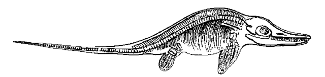 Image:Ichthyosaur - Project Gutenberg eText 16033.gif