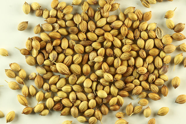 Image:Sa-cilantro seeds.jpg