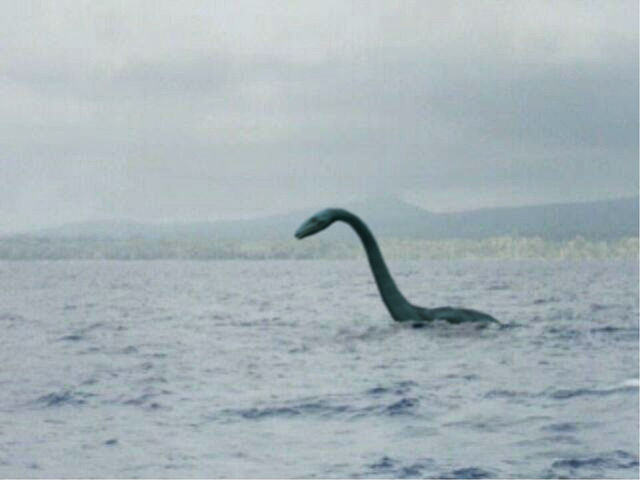 Image:Plesiosaur8.jpg