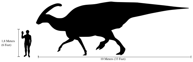 Image:Human-parasaurolophus size comparison.svg